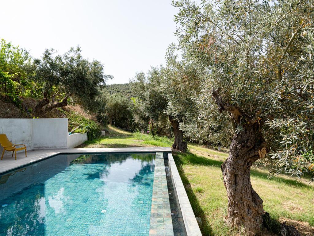 Dohos Skiathos Suites Ksanemos Exterior photo